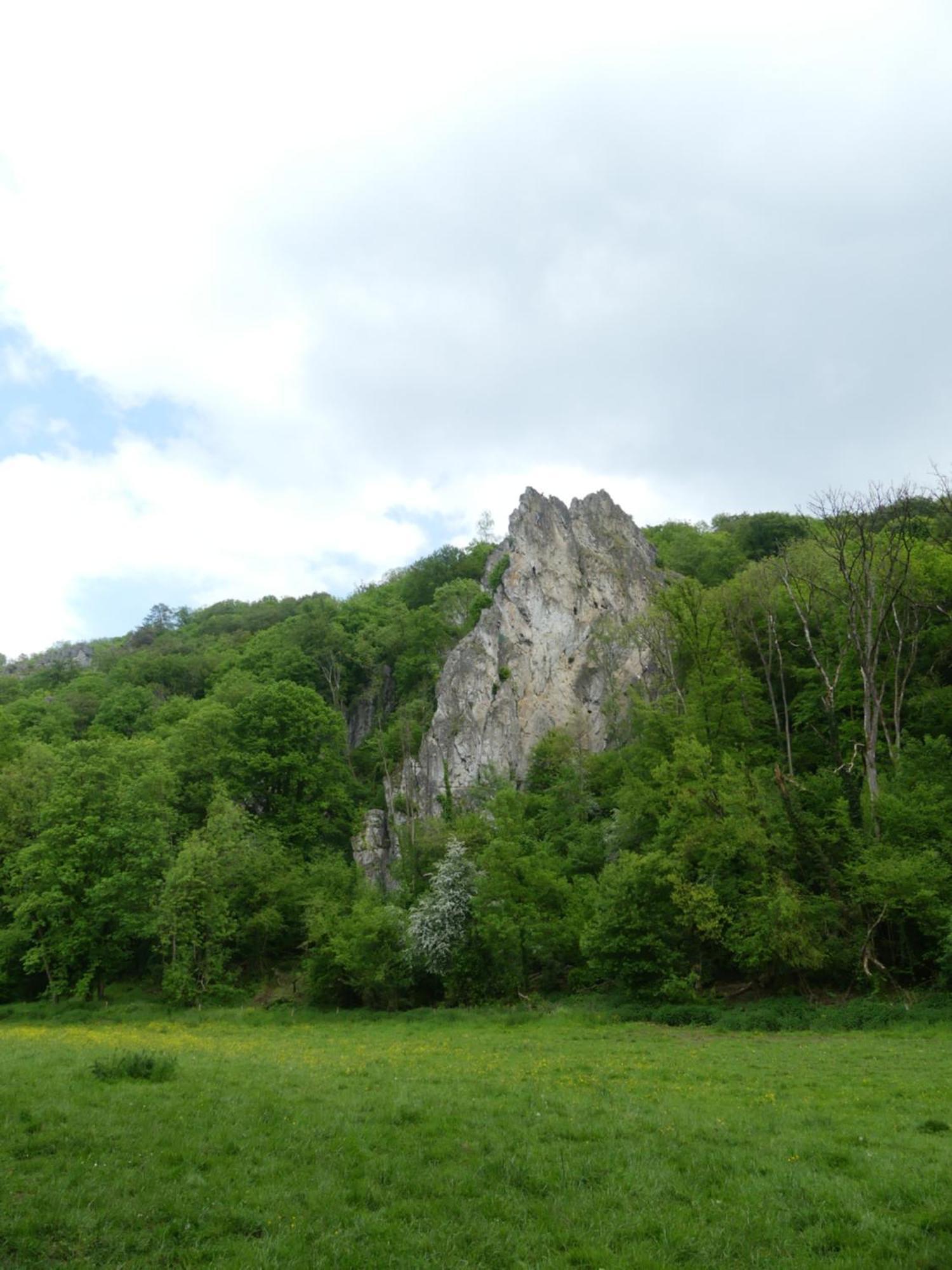 Au Bois Charmant Waulsort Exteriér fotografie