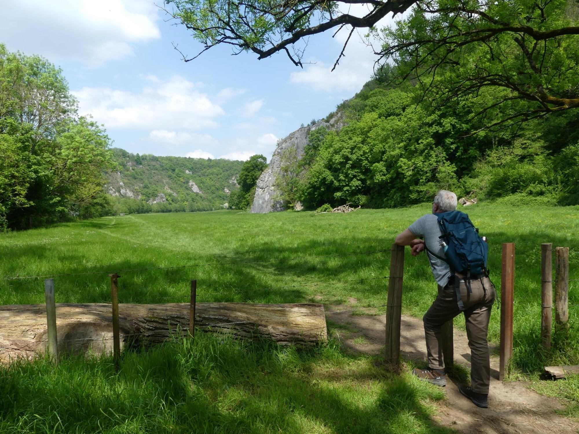 Au Bois Charmant Waulsort Exteriér fotografie