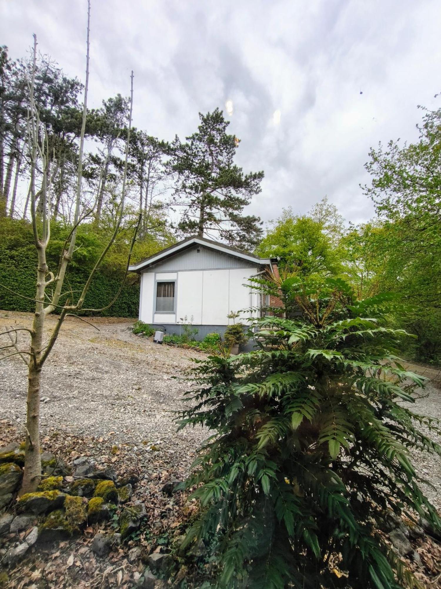 Au Bois Charmant Waulsort Pokoj fotografie