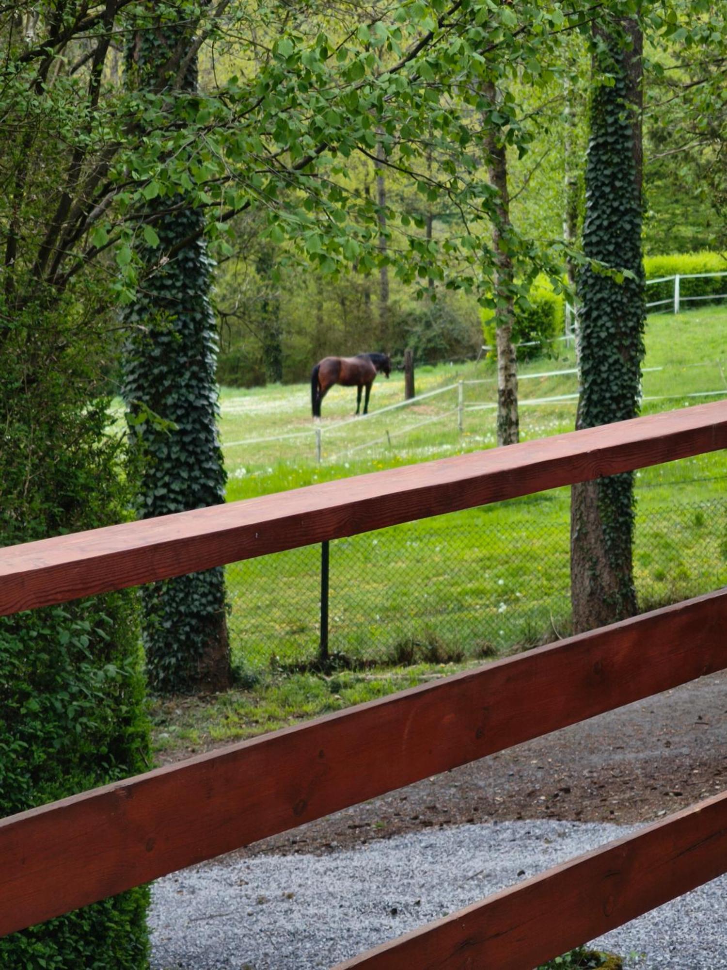Au Bois Charmant Waulsort Pokoj fotografie